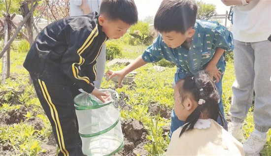 小朋友学习干农活。