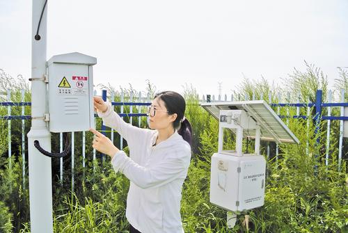 7月25日，在黄骅市旧城镇仙庄片区的农田四情监测站内，黄骅市农业农村发展局农业技术推广站技术员崔素倩查看设备运行情况。本报记者 王雅楠摄