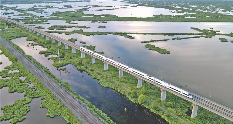动车组列车穿过大庆龙凤湿地。 黑龙江日报记者 张澍摄