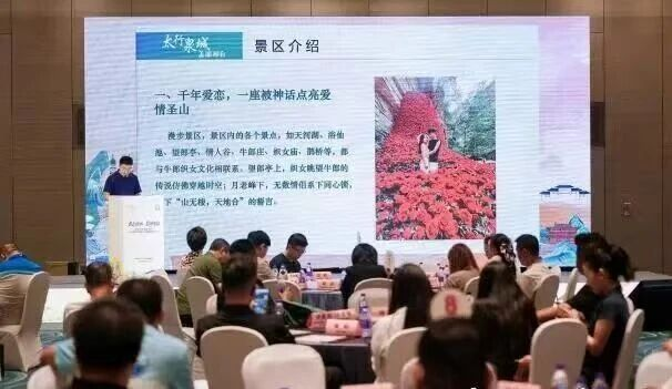 相关工作人员推介各景区（景点）。陈茜摄