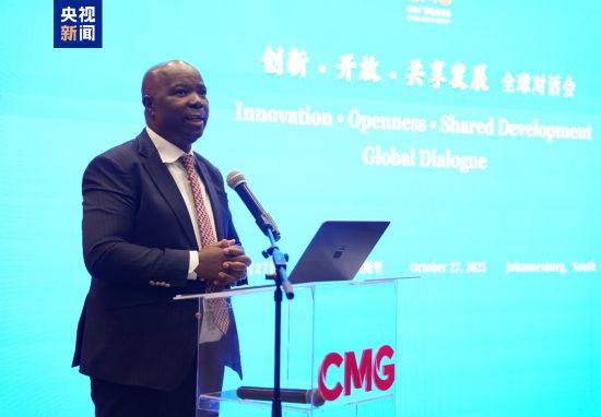 南非国会议员西利兹·孟亚