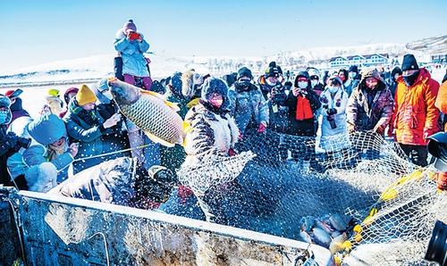 在沽源县库伦淖尔旅游度假区,渔民们进行冰上捕鱼,吸引了大批游客。田明摄