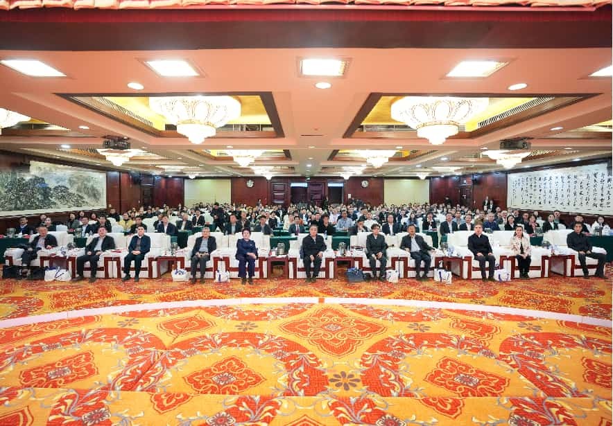 活动现场。主办方供图